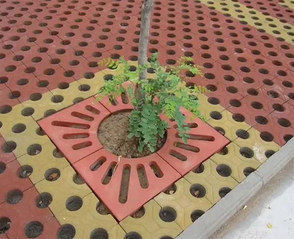 植草磚 (7)